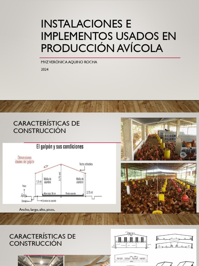 Instalaciones Y Equipos En Producci n Av cola PDF