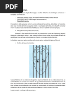 Análisis Facial en Ortodoncia y Estética | PDF | Cara | Ortodoncia
