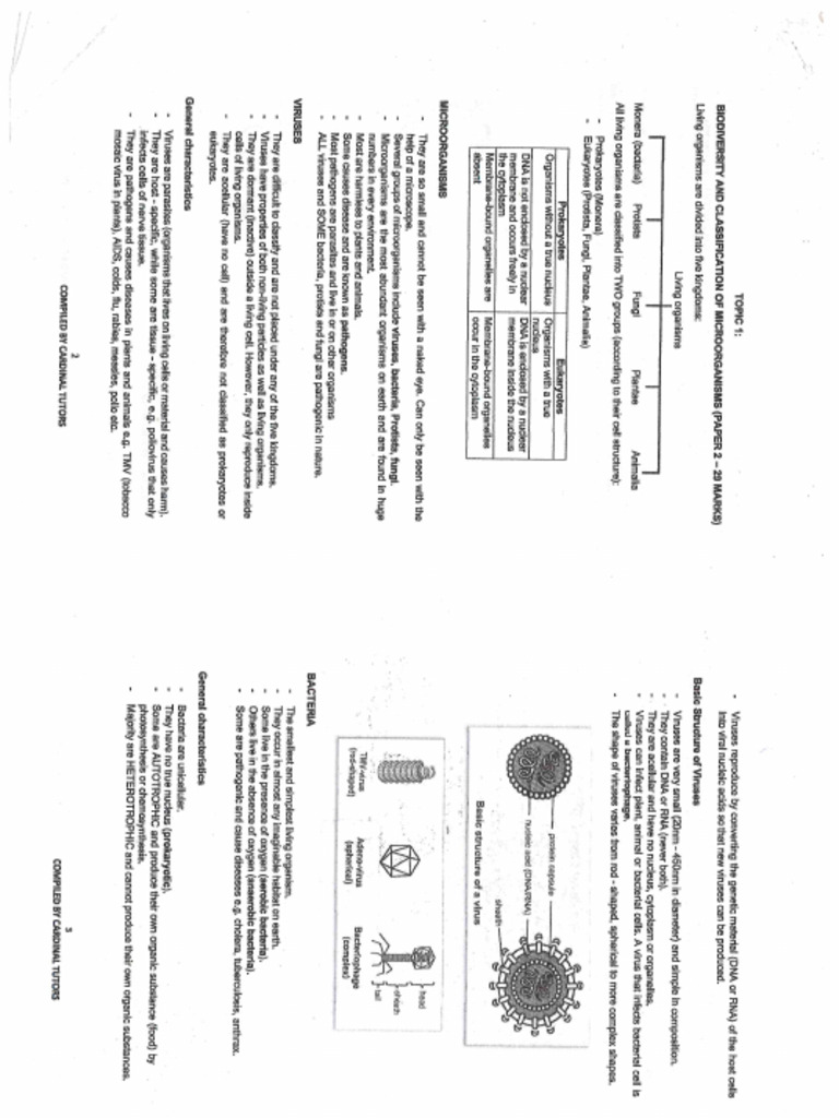 Life Sciences Notes | PDF