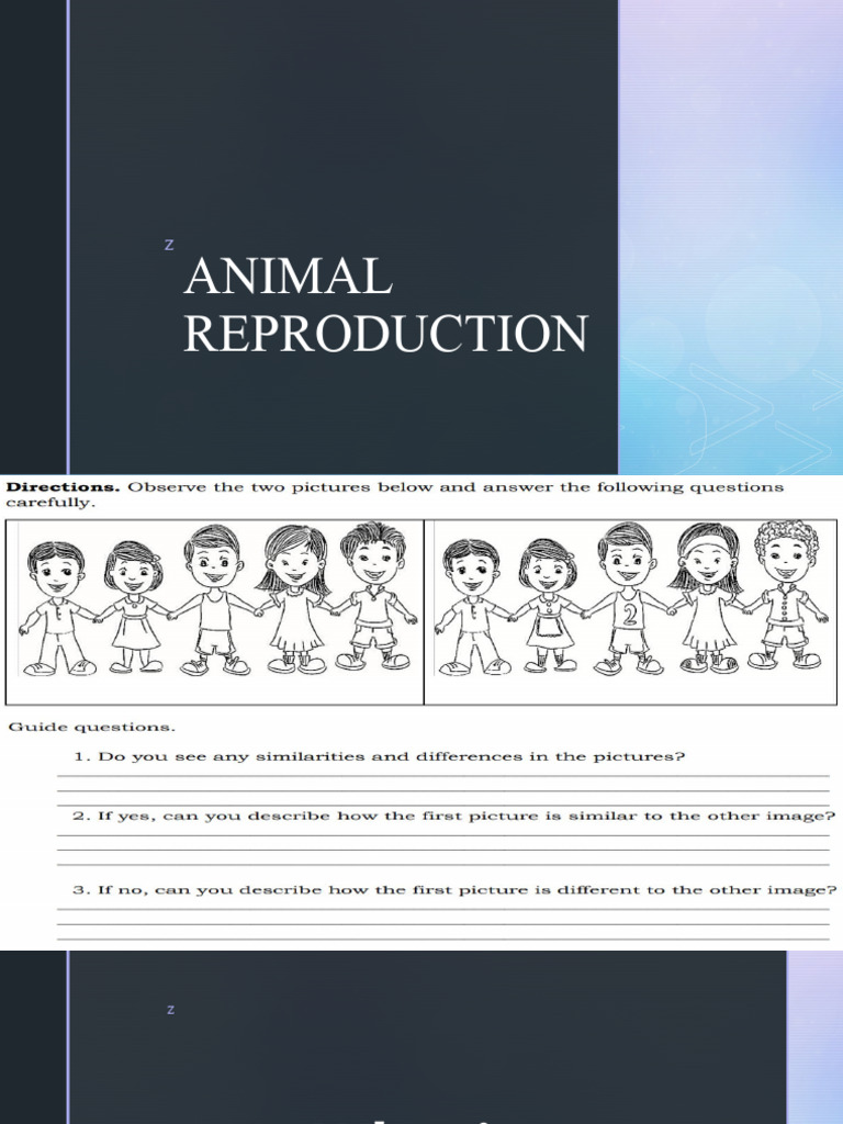 Overview of Animal Reproduction | PDF | Sexual Reproduction | Reproduction