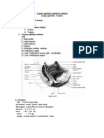 Organa Genitalia Muliebri1