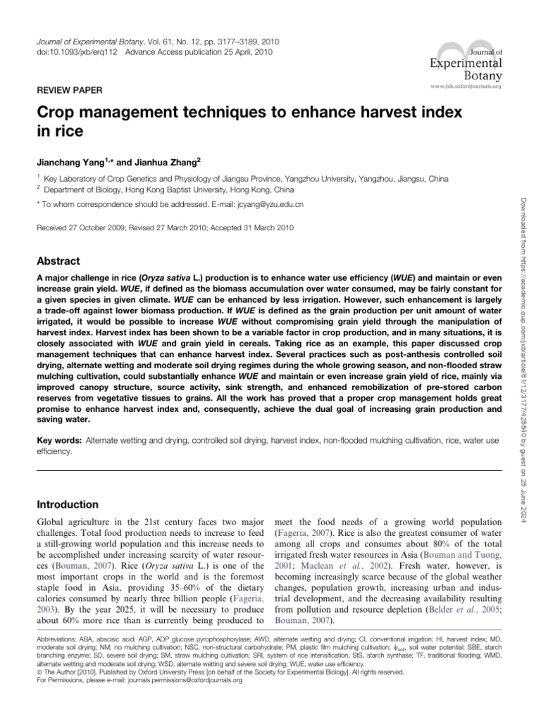 Crop Management Techniques To Enhance Harvest Index in Rice | PDF ...