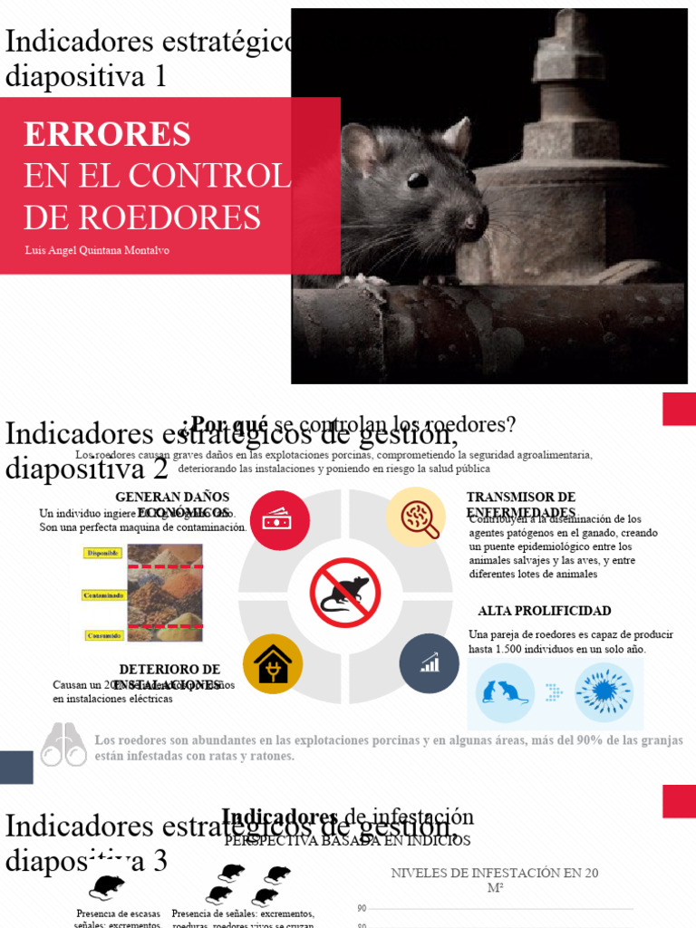 Errores en El Control de Roedores-Luis Quintana | PDF | Roedor