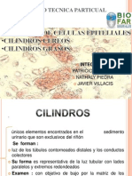 Cilindros Urinarios