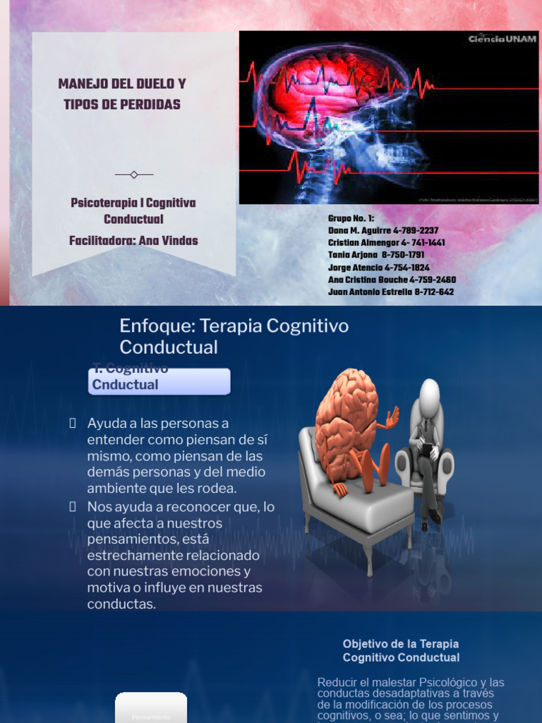 Manejo Del Duelo y Tipos de Perdidas | PDF | Dolor | Las emociones