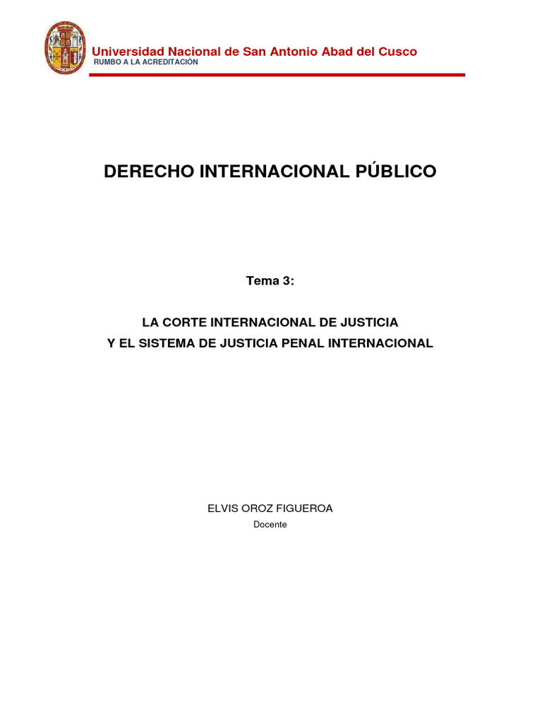 Corte Internacional de Justicia y Derechos Humanos | PDF | Derecho ...