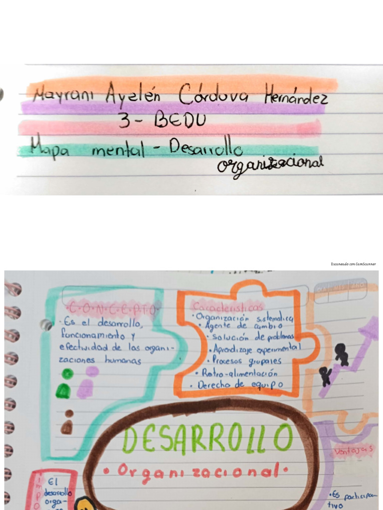 mapa desarrollo organizacional | PDF
