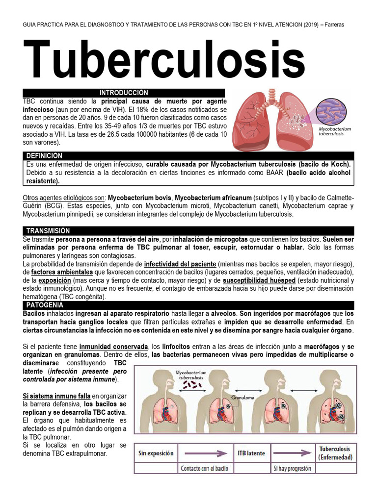 TUBERCULOSIS | PDF | Tuberculosis | Sistema inmune