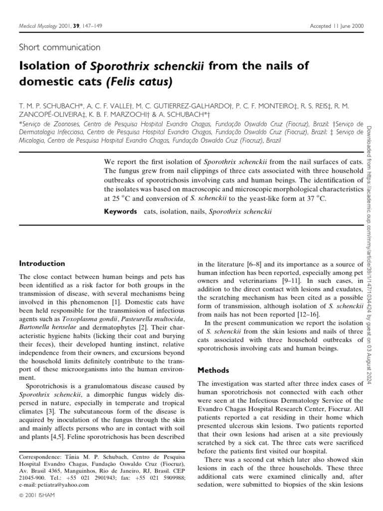 Are Bears Scared Of Domestic Cats