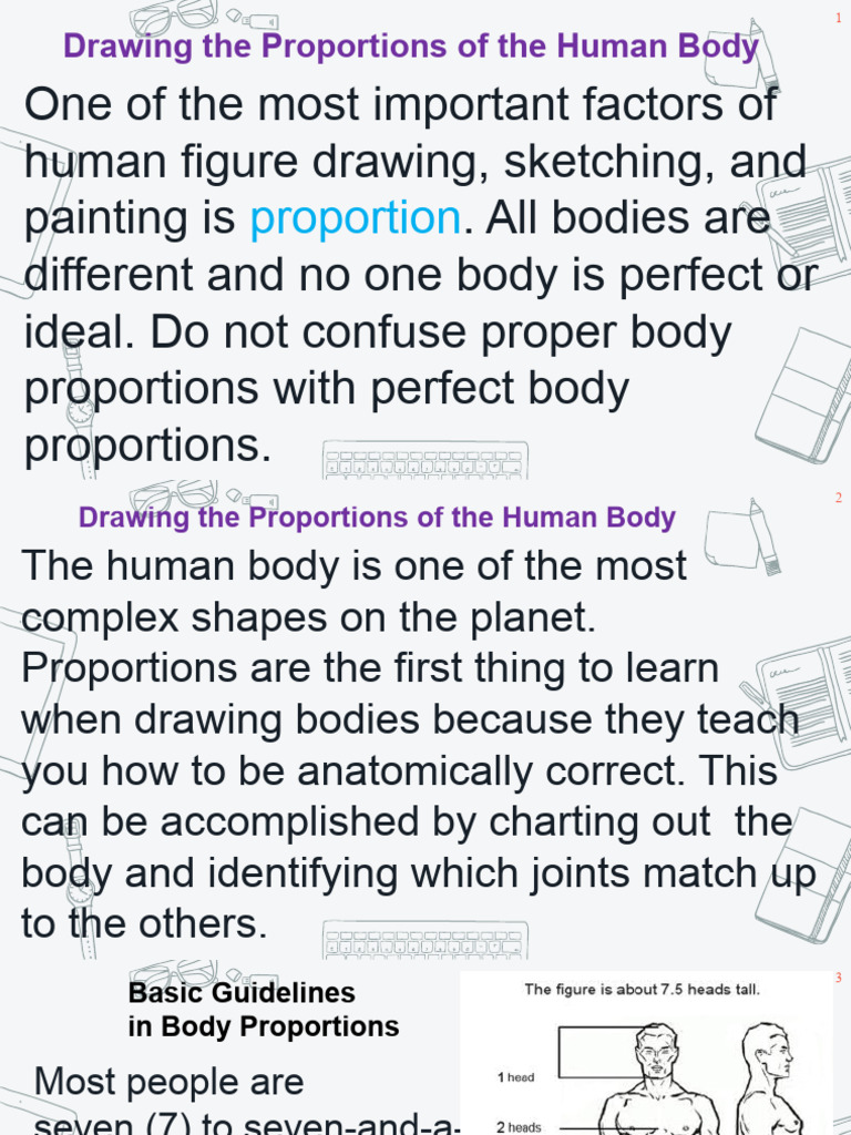 Human Body Proportions for Drawing | PDF | Waist | Pelvis
