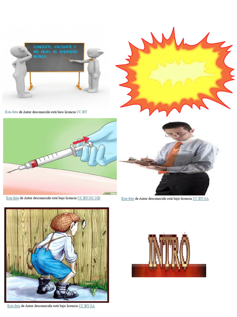 Inversible 31 | PDF