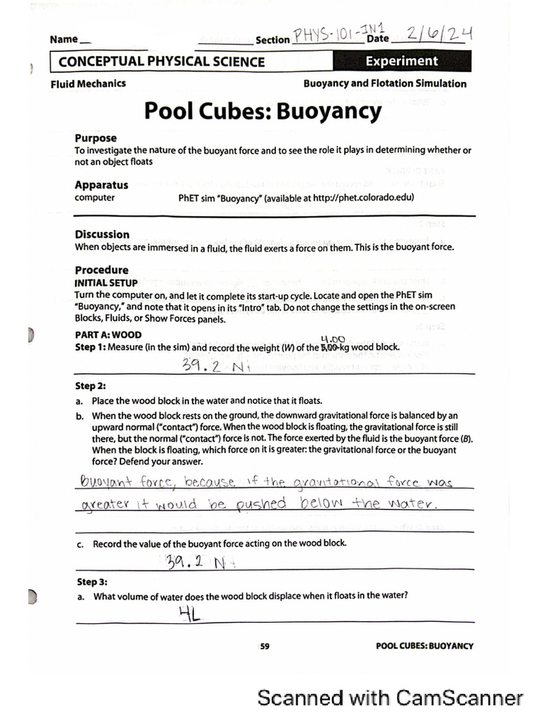 Pool Cubes Buoyancy Lab Pdf