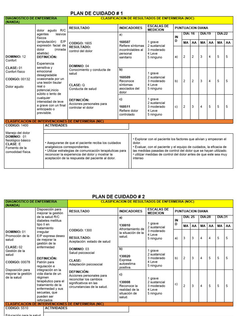 Plan de Cuidado en Enfermería: Dolor y Salud | PDF | Dolor | Piel