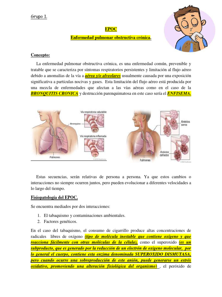 EPOC: Causas, Fisiopatología y Síntomas | PDF | Enfermedad pulmonar ...