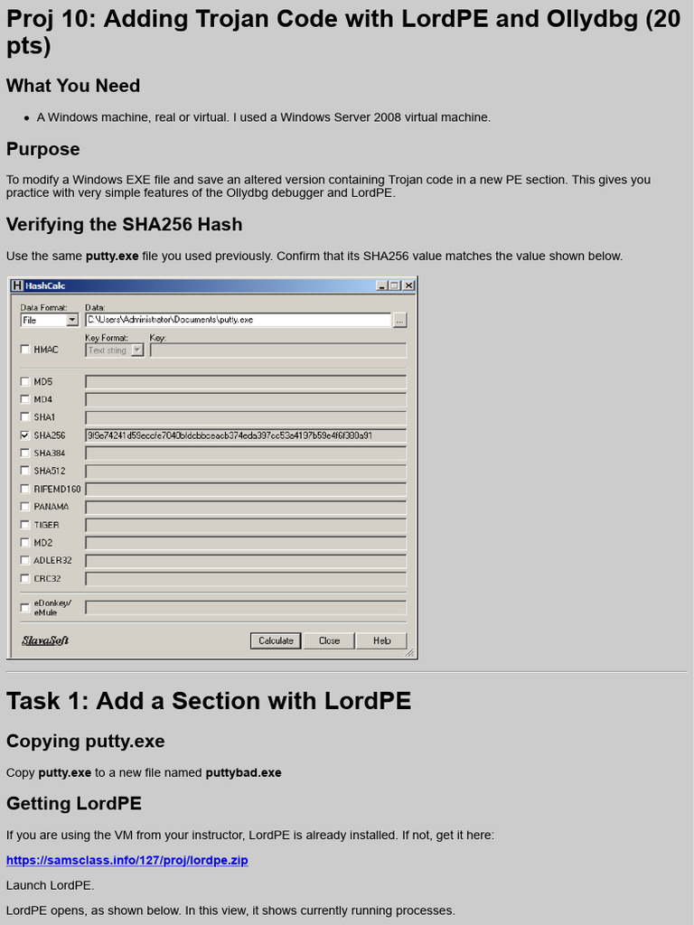 Proj 10 Adding Trojan Code With LordPE and Ollydbg 20 Pts | PDF ...