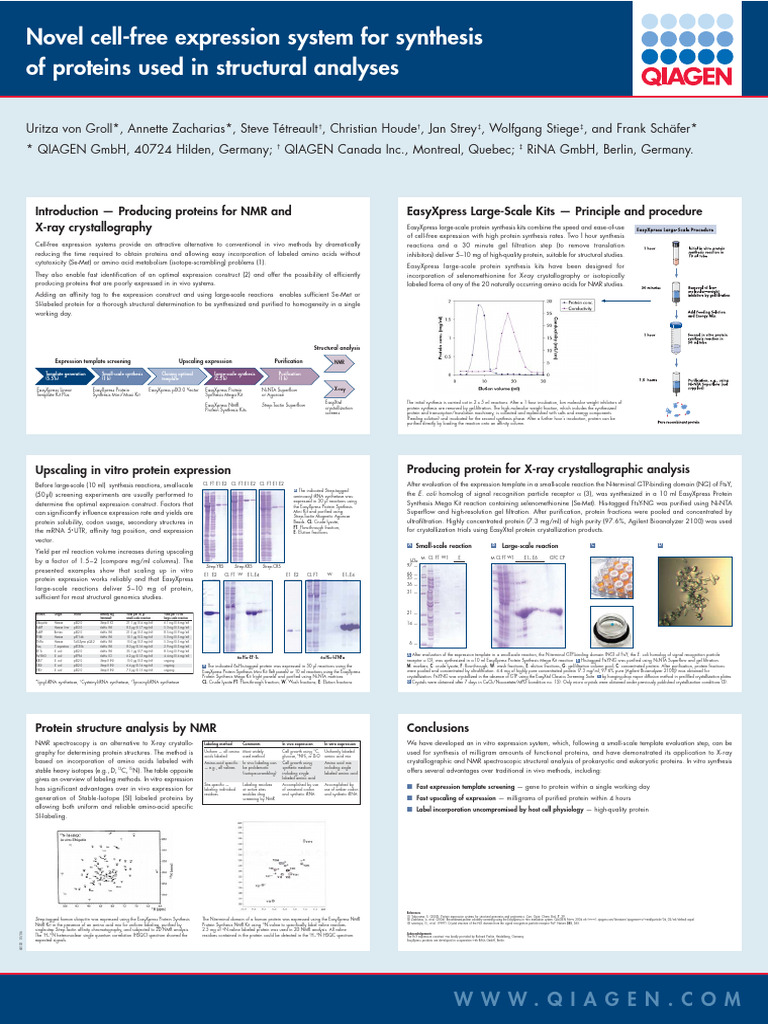 Novel Cell Free Expression System For Synthesis of Proteins Used in ...
