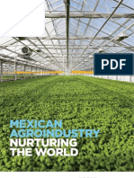 ProMexico: Negocios Magazine: Mexican Agroindustry Nuturing The World