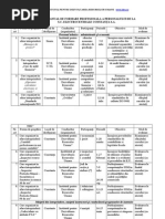 Model-Plan Anual de Formare Profesionala in Int Rep Rind Ere