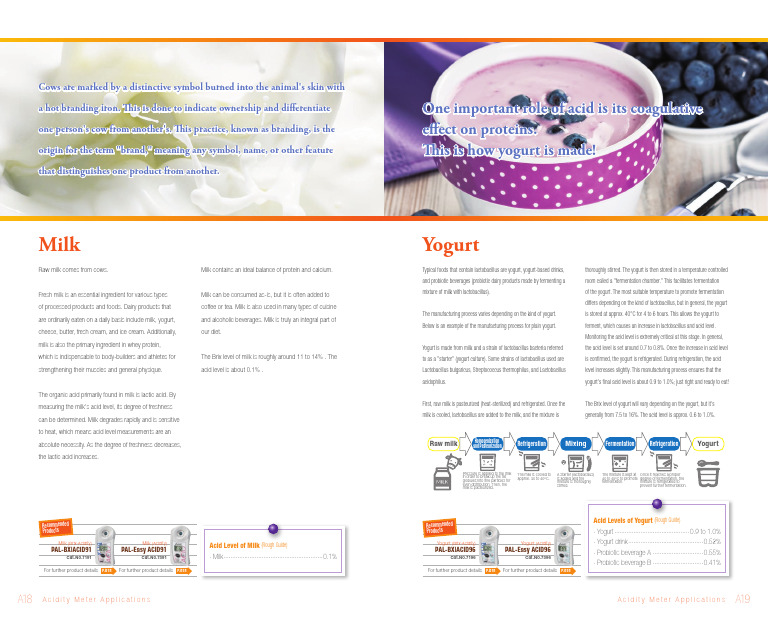Yogurt and Milk Production Process | PDF | Yogurt | Milk