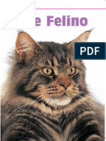 Acne Felino