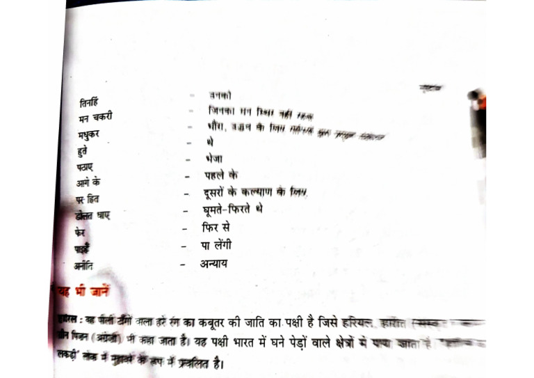 IMPORTANCE N MEANINGS ETYMOLOGY AND MORE intelligence overview