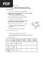 Cellular Respiration Webquest DBBBB