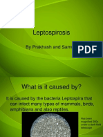 Leptospirosis: by Prakhash and Samuel