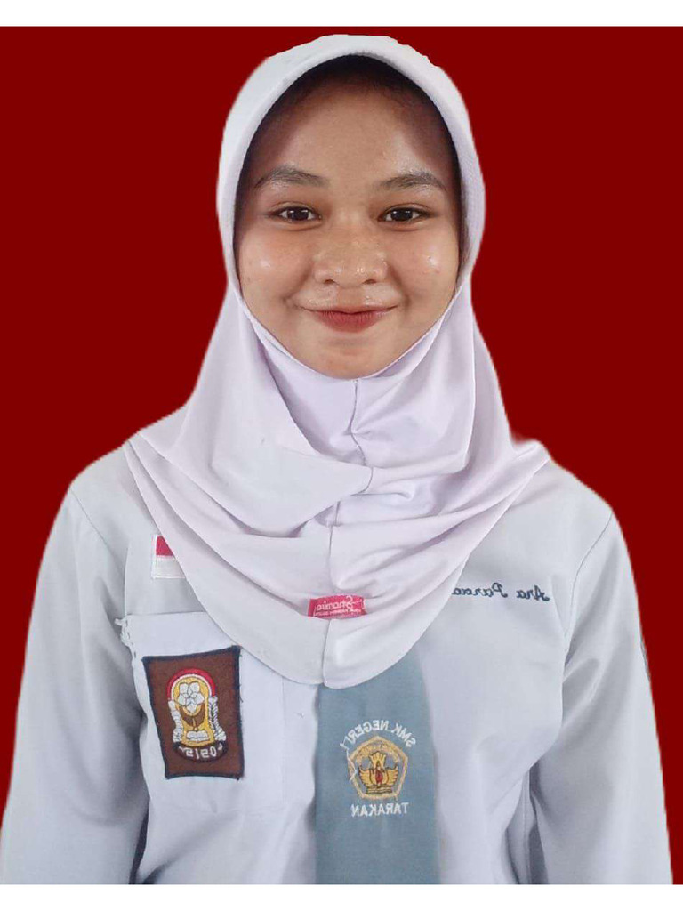 Ara pdf