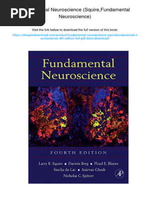 Fundamental Neuroscience: 9780123740199: Medicine & Health