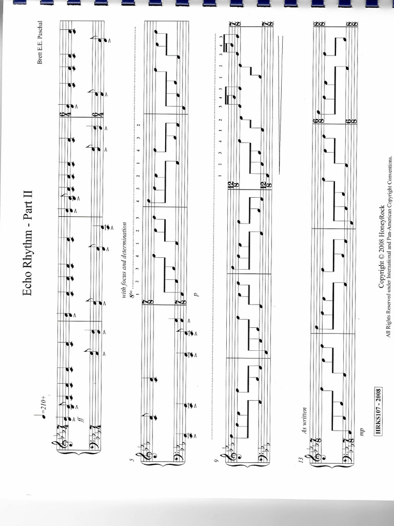 Echo Rhythm Pdf