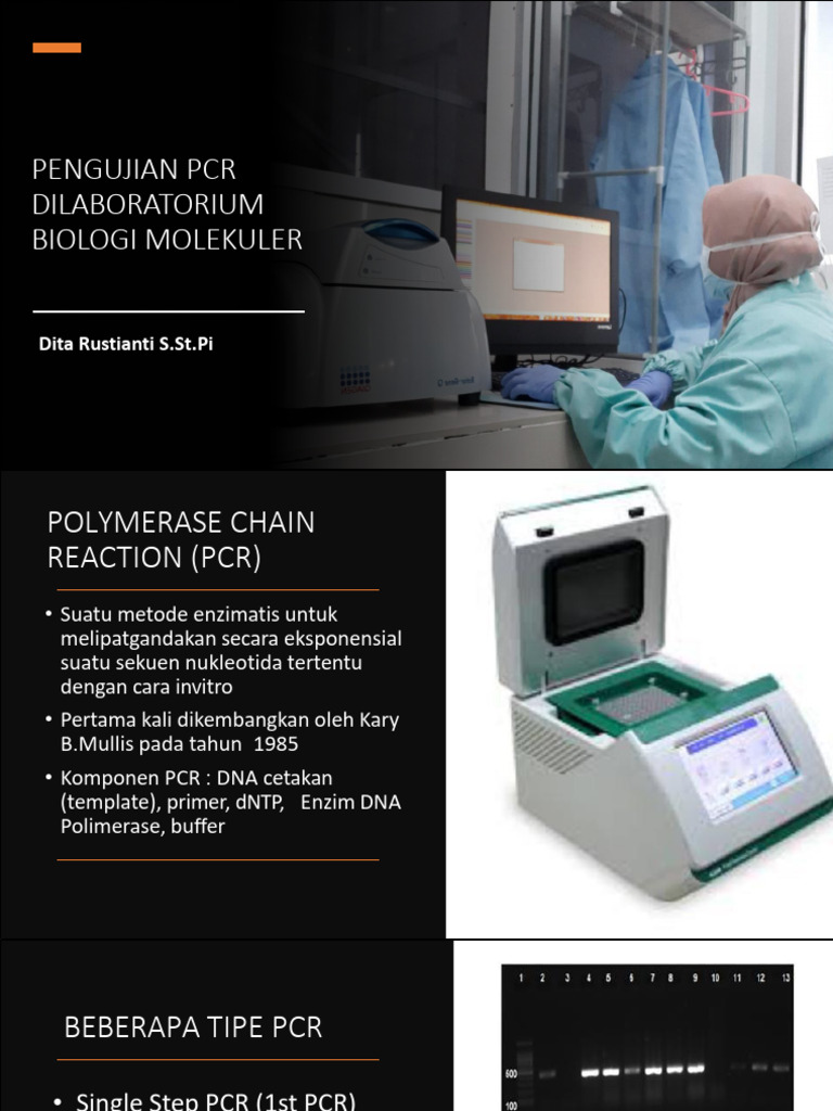Pengujian PCR Di Lab Biologi Molekuler | PDF