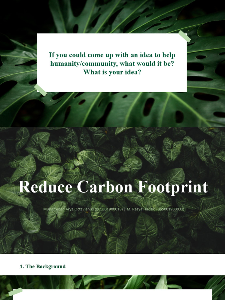 Reducing Your Carbon Footprint Effectively | PDF | Carbon Footprint ...