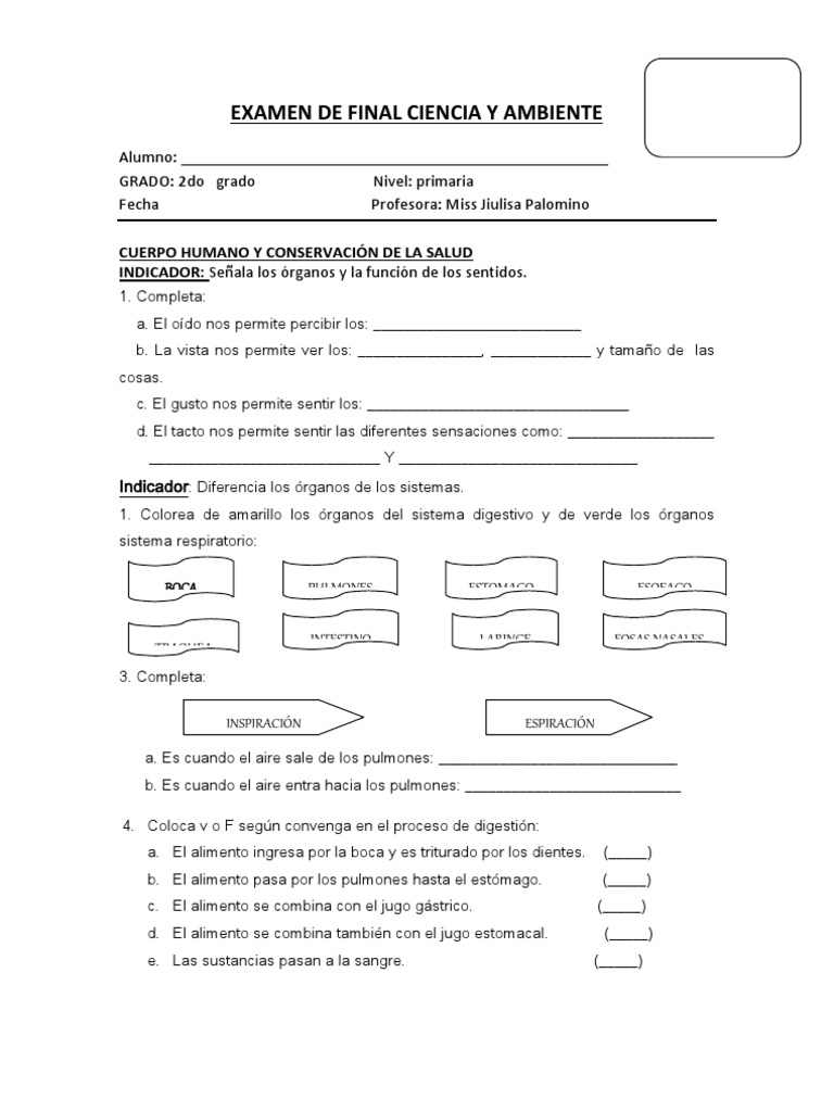 Examen de Final Ciencia y Ambiente 2 | PDF | Pulmón | Agua