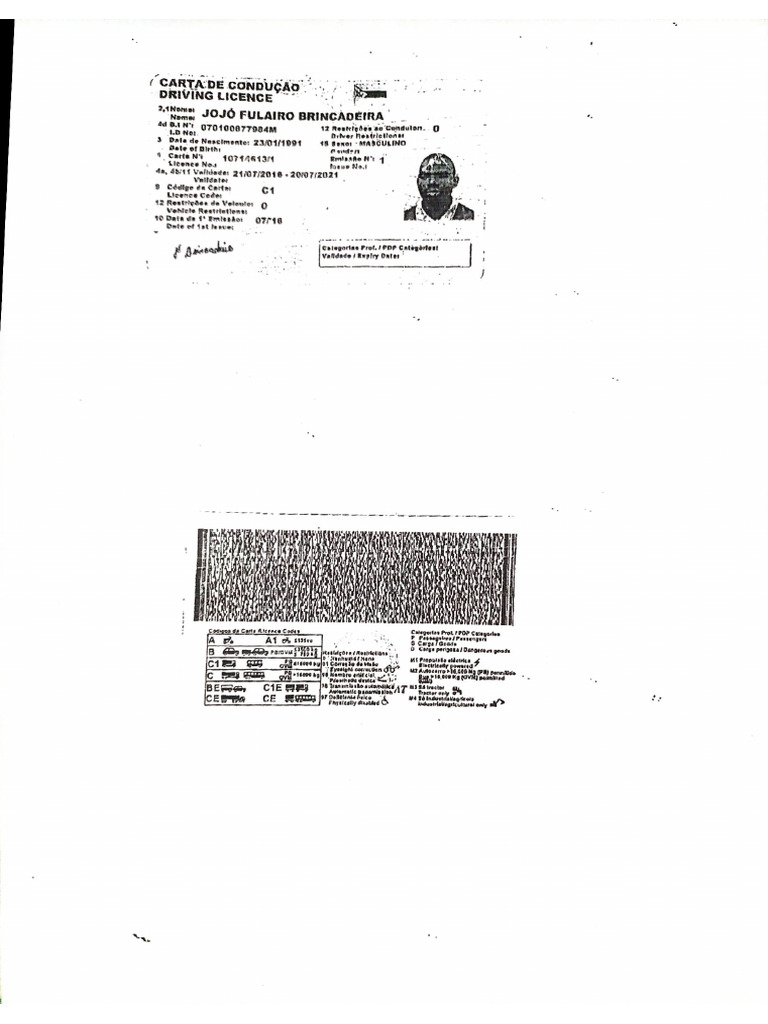 Carta De Conducao Pdf