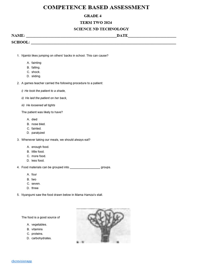 Grade 4 Science And Technology Project 2024