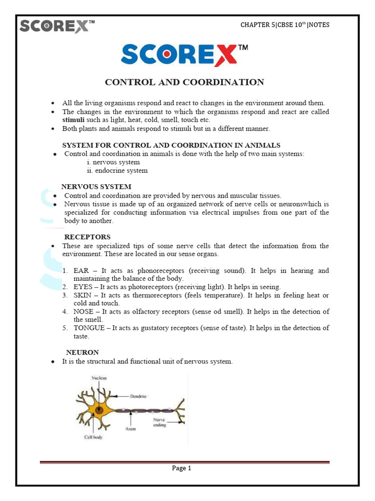 Control and Coordination in Organisms | PDF | Hormone | Central Nervous ...