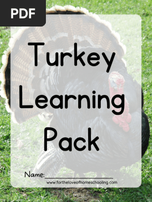 Turkey Learning 