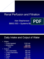 Renal Perfusion and Filtration: Alan Stephenson BBSG 503 - Systems Biology