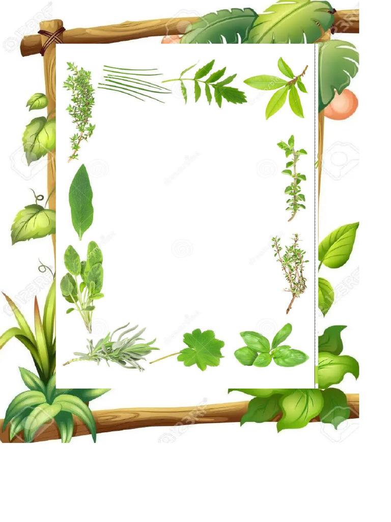 Caratula Del Herbario | PDF