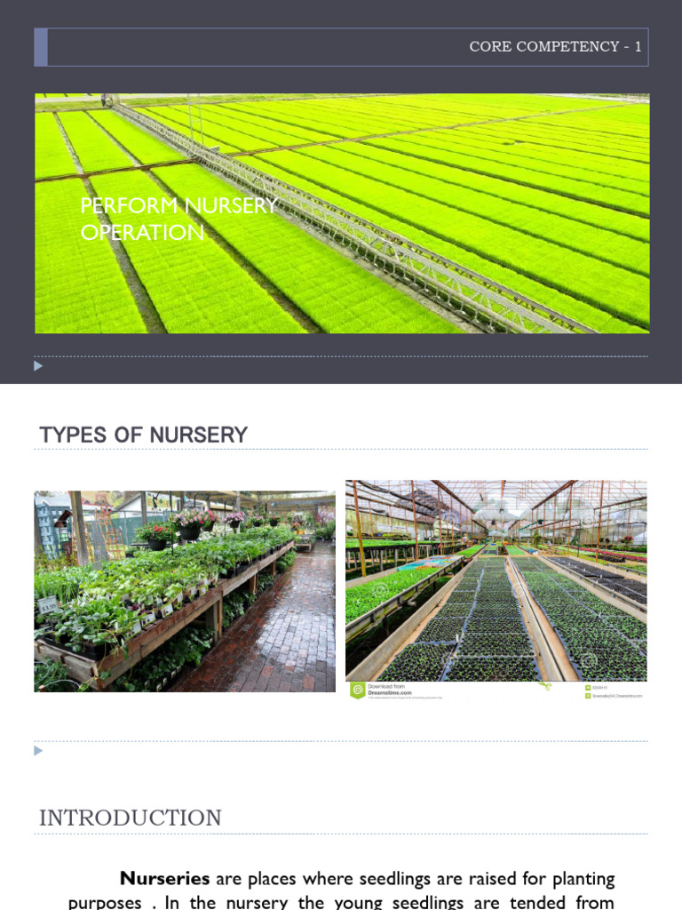 Perform Nursery Operations | PDF | Manure | Seed
