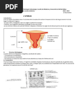 Scanopelvimétrie en obstétrique | PDF | Appareil locomoteur
