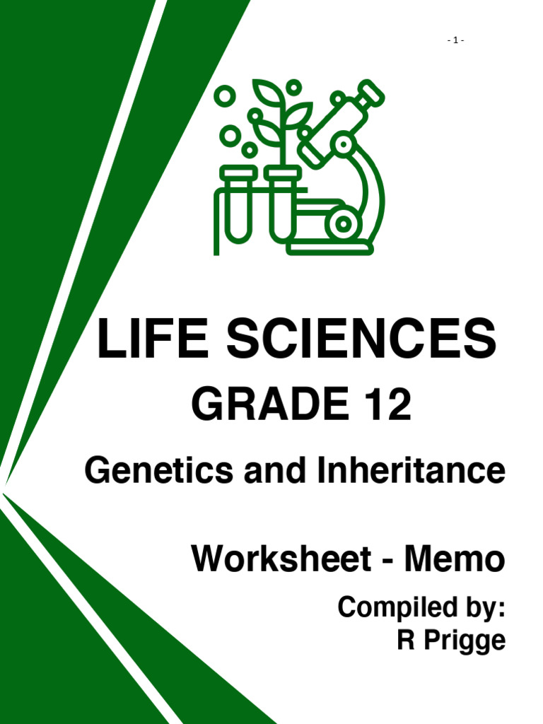 Genetics and Inheritance Worksheet | PDF | Dominance (Genetics) | Allele