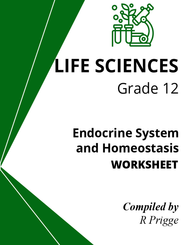 Endocrine System Worksheet for Grade 12 | PDF | Hormone | Endocrine System