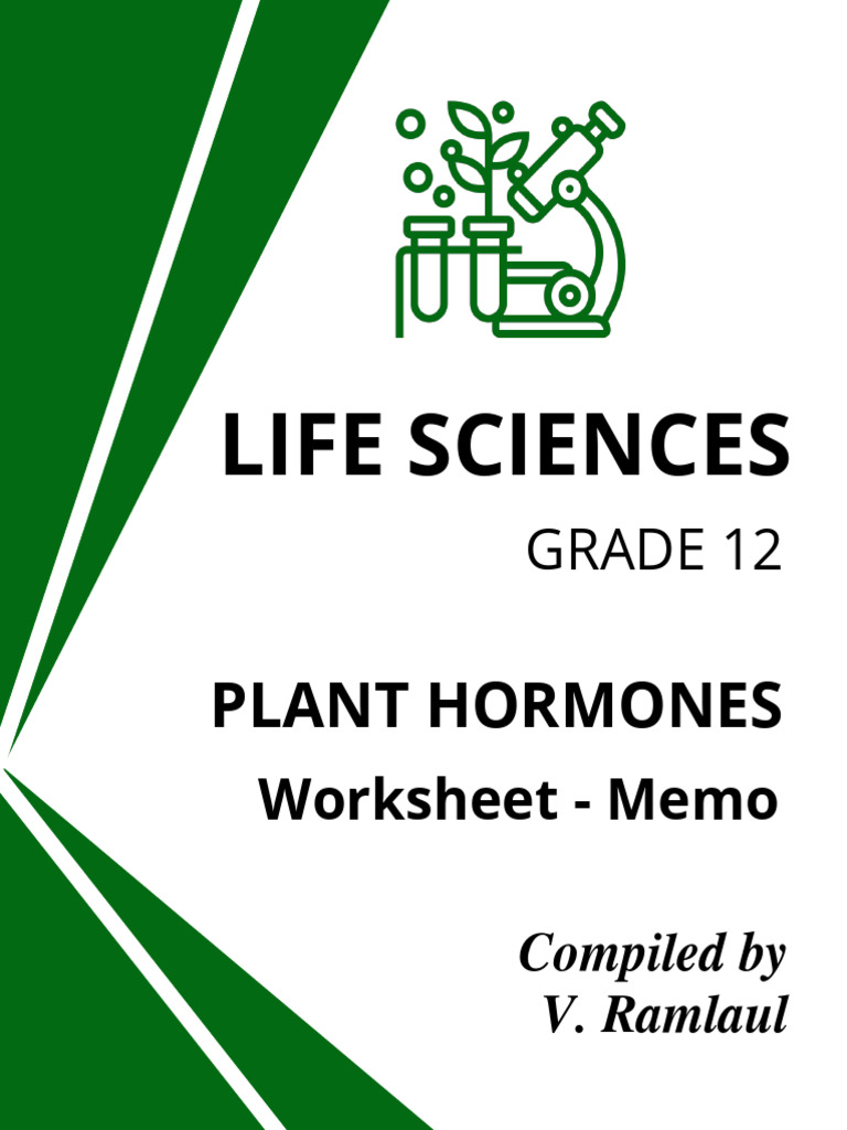Life Sciences GR 12 Worksheet Memo 1 | PDF | Auxin | Branches Of Botany