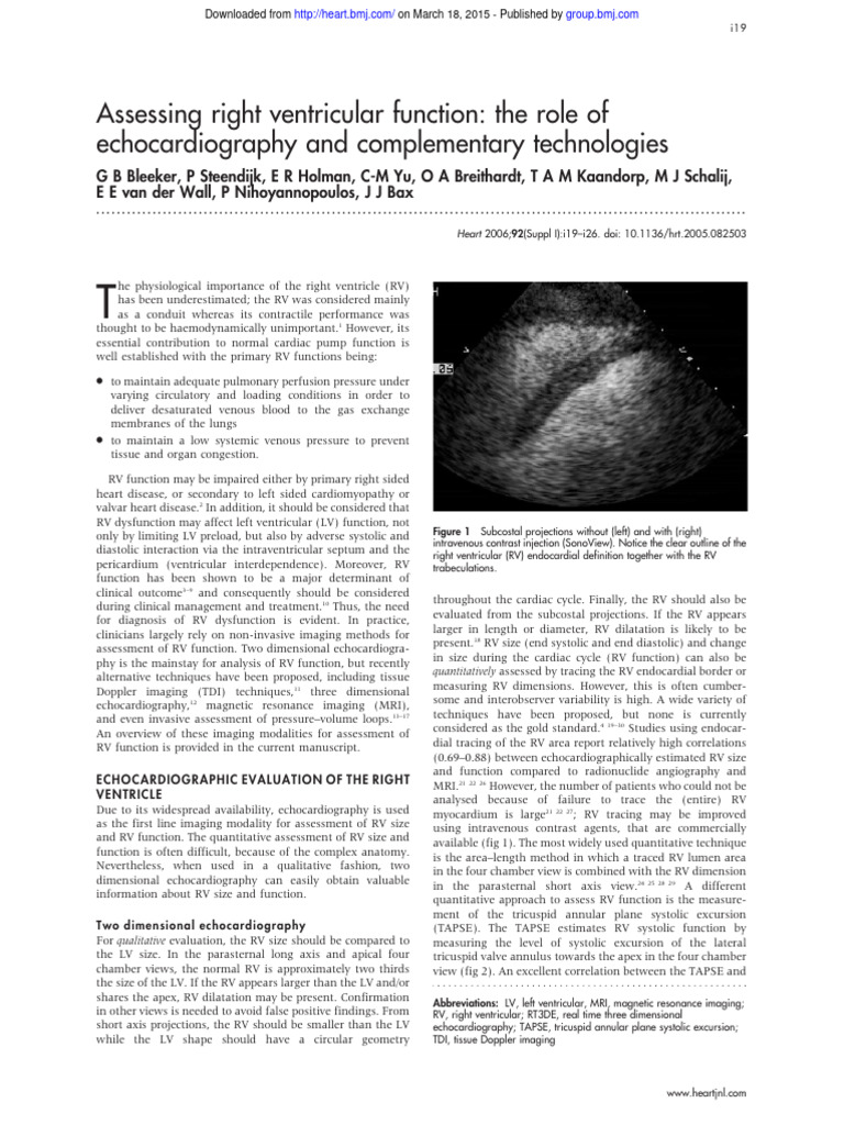 Echocardiography in Right Ventricular Assessment | PDF | Diastole ...