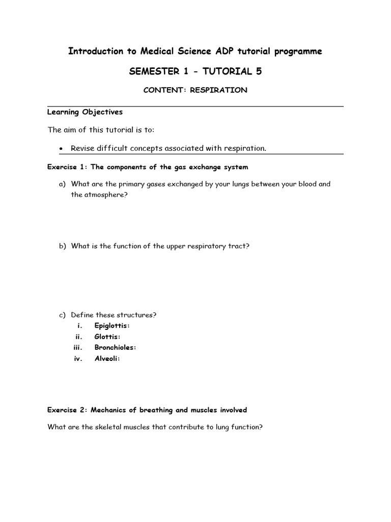 Medical Science: Respiration Tutorial | PDF | Respiratory System | Lung