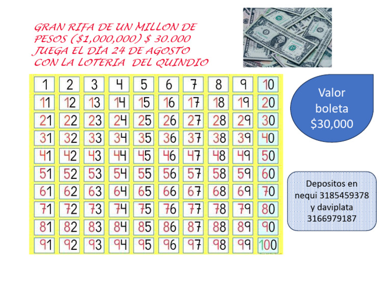 Rifa Un Millon de Pesos | PDF