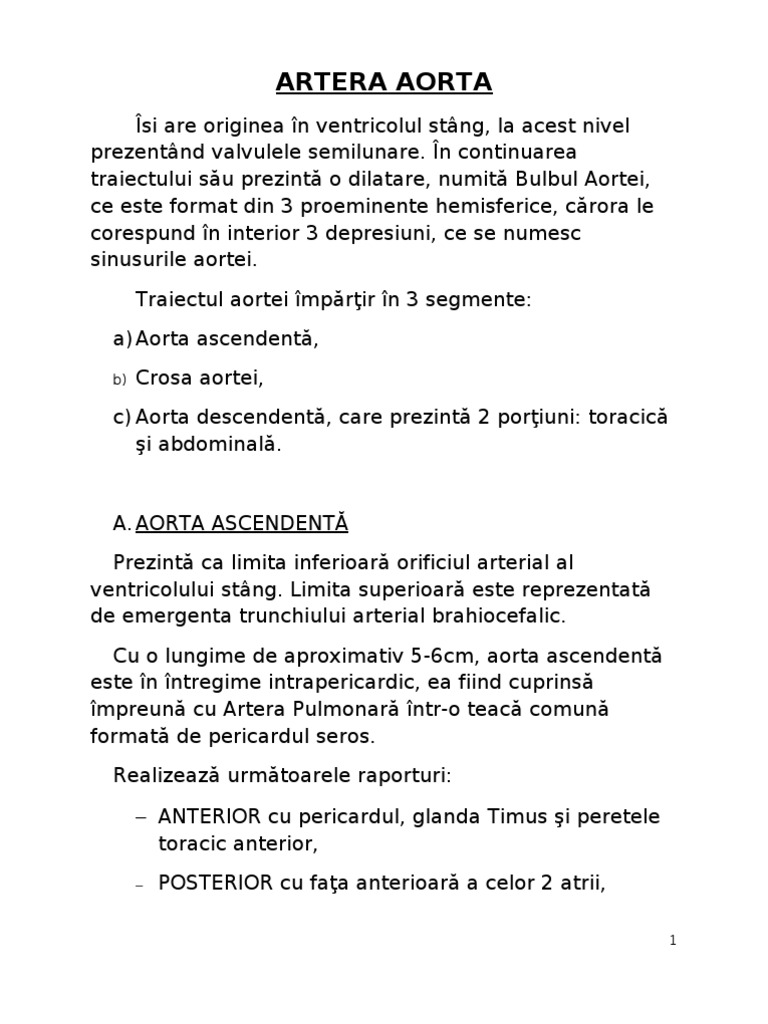 Artera Aorta | PDF