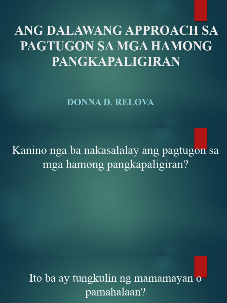 CBDRRM | PDF