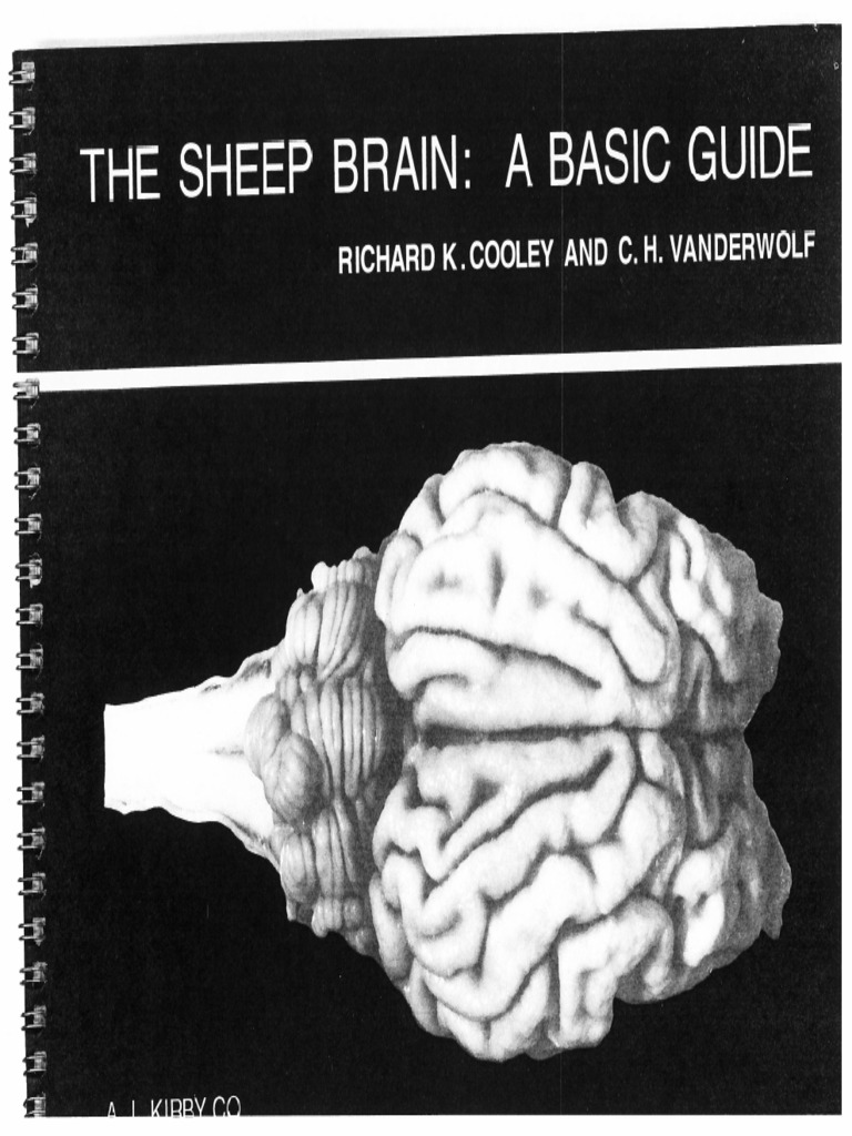 Excerpts from the sheep brain a basic guide online pdf